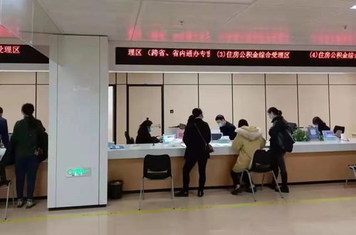 政务服务再升级 异地代收代办与法律事务代理全面开通